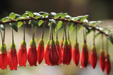惠州淡水7私人快速借钱网，轻松解决资金难题