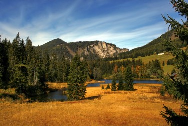 惠州淡水7民间私贷攻略：揭秘低成本借贷的秘密