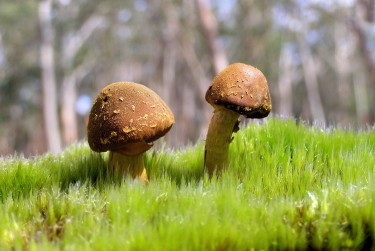 惠州淡水7私人老板放款：轻松融资的秘密通道